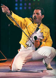 freddie77.jpg